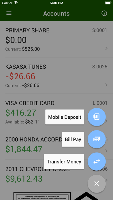 Fergus Federal CU Screenshot