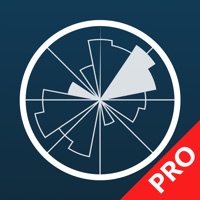 Windy Pro logo