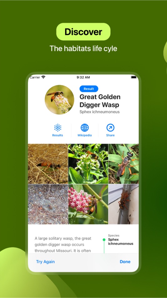 #3. Insect Identifier (iOS) By: Le Giang Nam