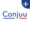 Icon Conjuu - French Full Edition
