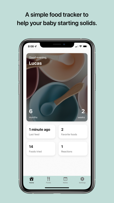 Solid - Baby Food Tracker Screenshot