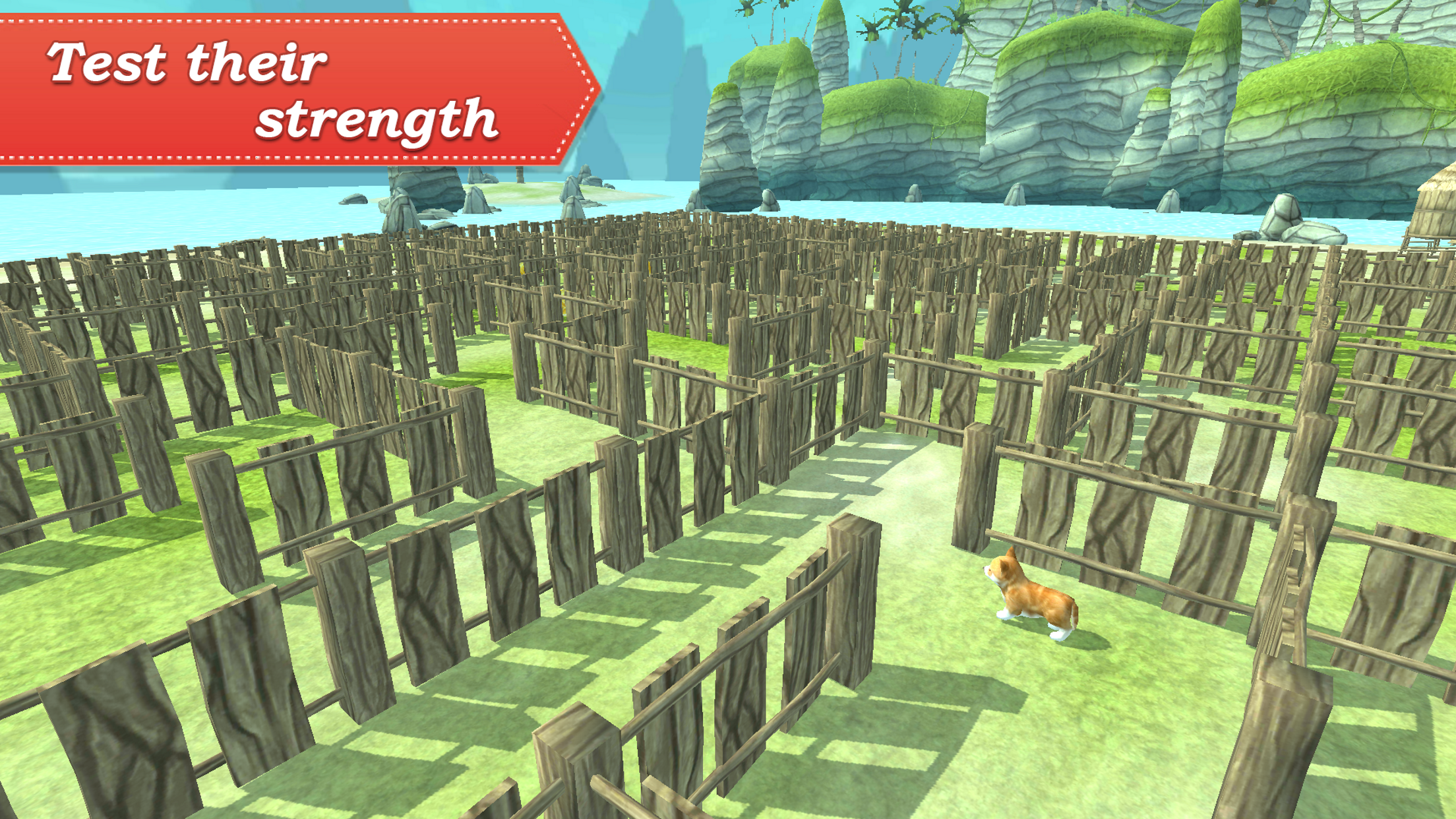 3D Pets in the Maze screenshot 3