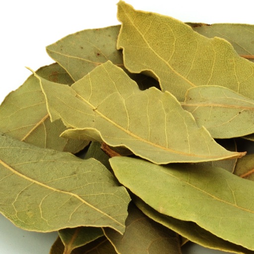 Kitchen Store Cupboard