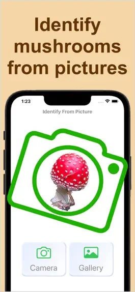 Game screenshot Forest Mushroom Identification hack