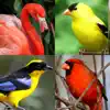 Bird World - Quiz about Famous Birds of the Earth delete, cancel