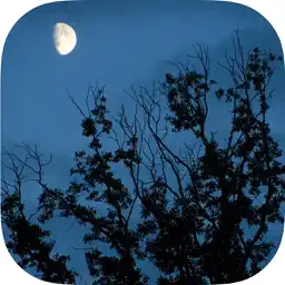 Relax Night Sounds - White Noise app icon