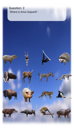 Animal Walk Touch(圖4)-速報App