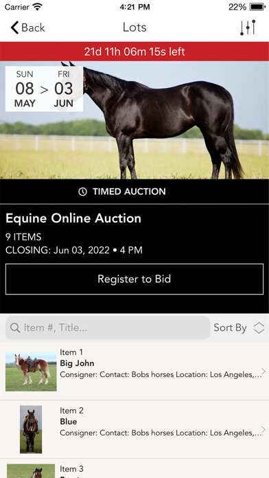 Equine Online Auction Screenshot