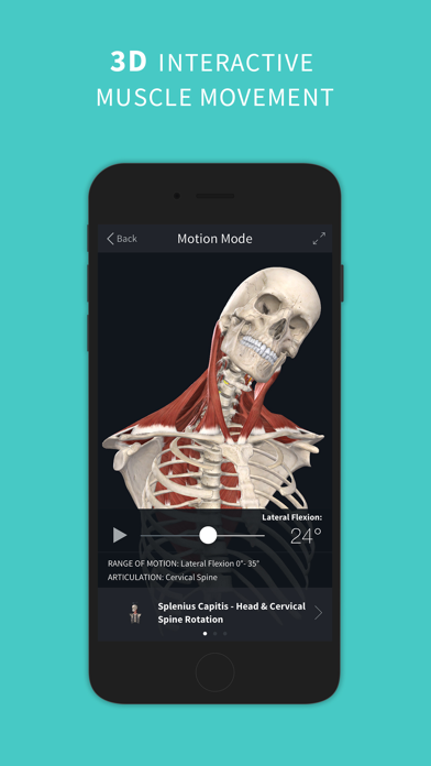 Complete Anatomy ‘24 Screenshot