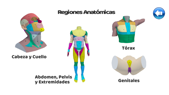 Regiones Anatómicas RA
