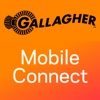 Gallagher Mobile Connect icon