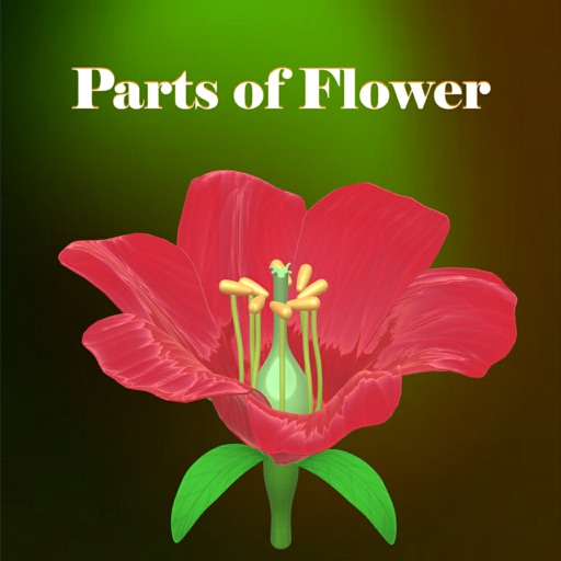 Parts of Flower