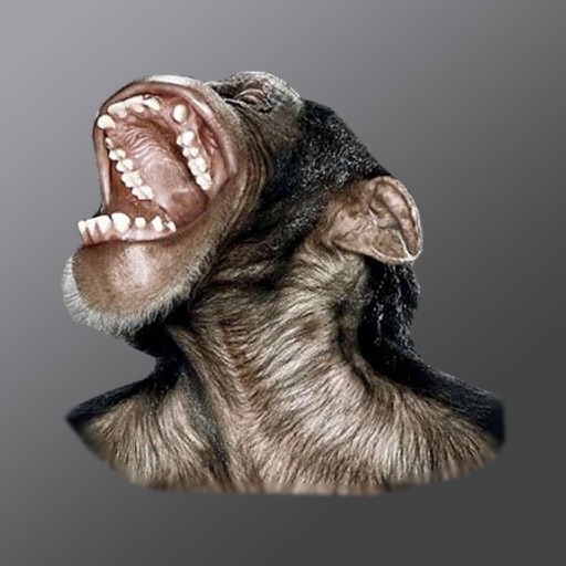 Monkey Head iOS App