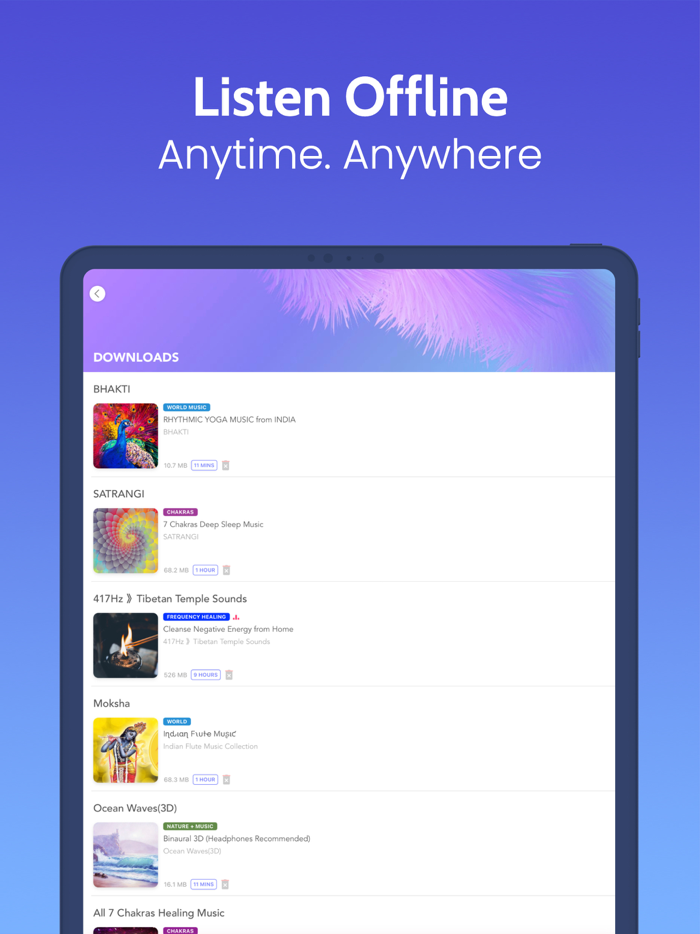 Meditative Mind Sleep Sounds