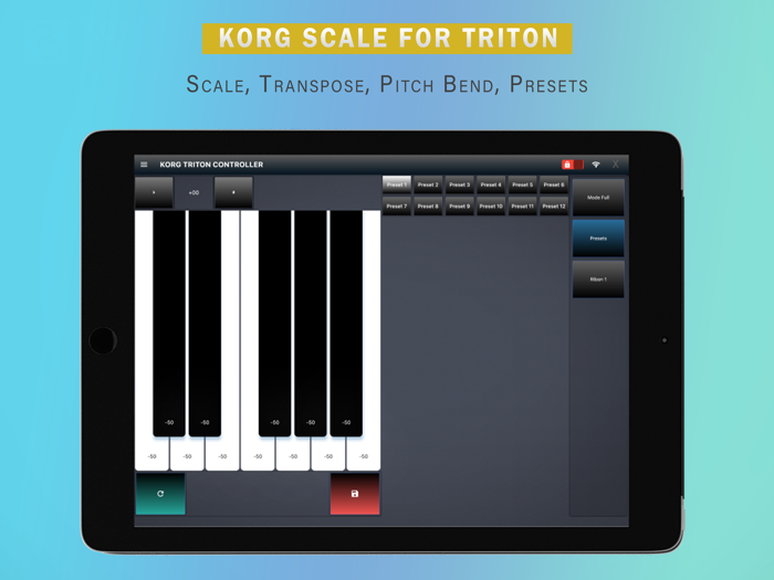 Solo Scale Controller