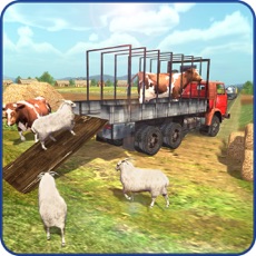 Activities of Animal Transport Cargo Truck