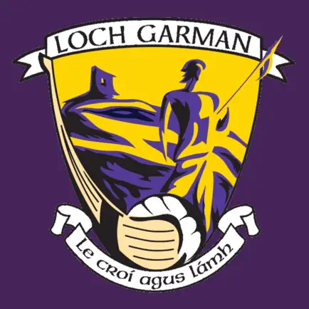 Wexford GAA Читы