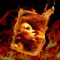 If you like watching action movies and you love editing your photos, try out this Burning Photo Frames now