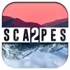 Blocks Woody Scapes Classic 2 App Feedback