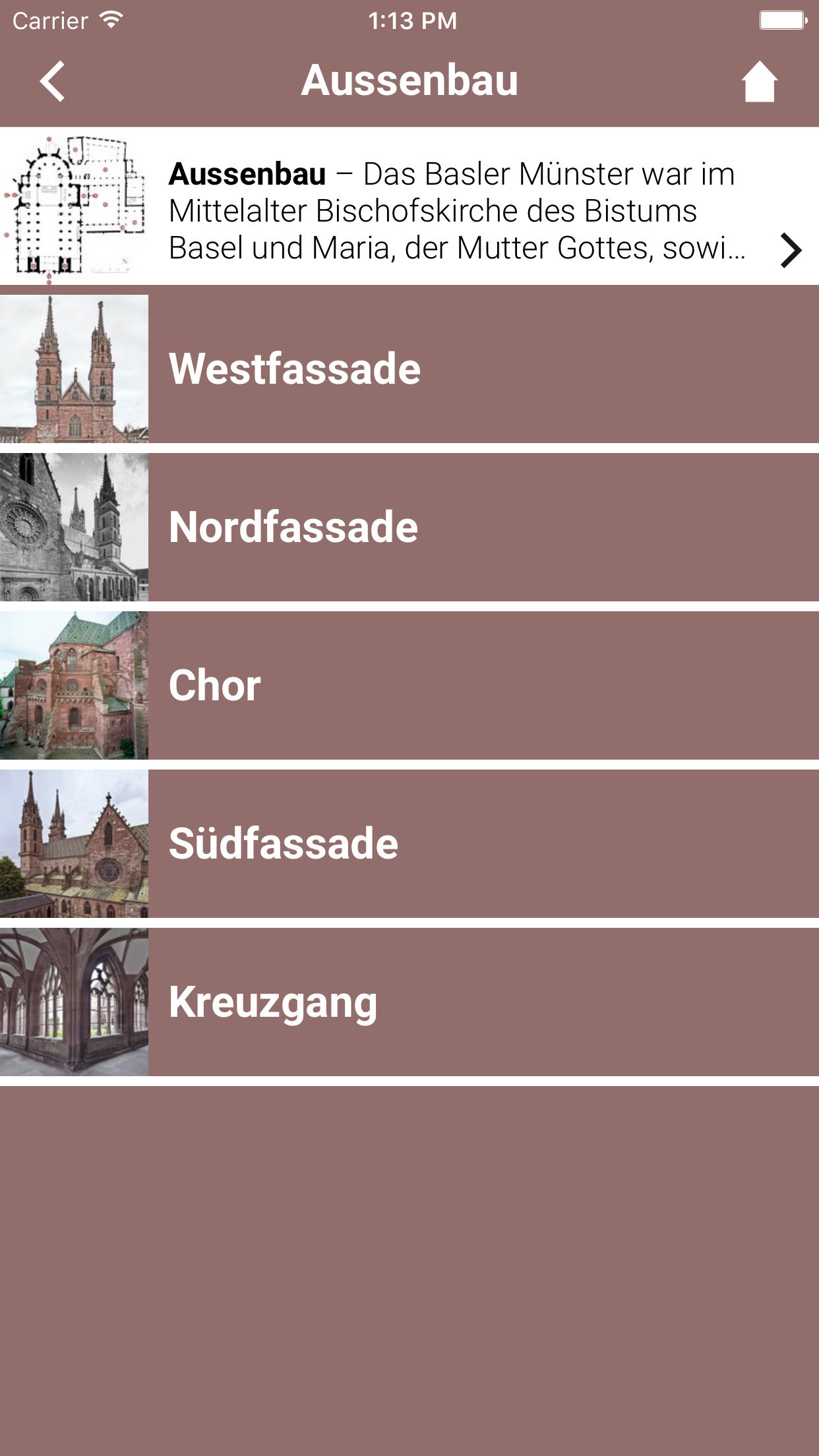 Basler Münster screenshot 2