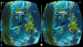 VR Diving Pro - Scuba Dive with Google Cardboard screenshot
