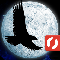 Activities of Moon Bird VR