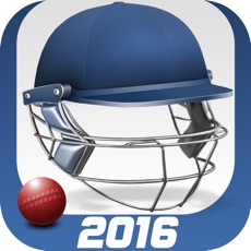 Activities of Cricket Captain 2016