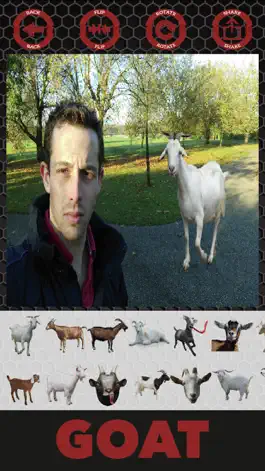 Game screenshot Goat stickers - photo editor goat stickers hack