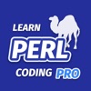 Learn Perl with Compiler PRO