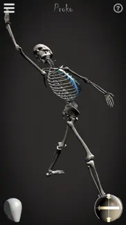 skelly - art model iphone screenshot 3