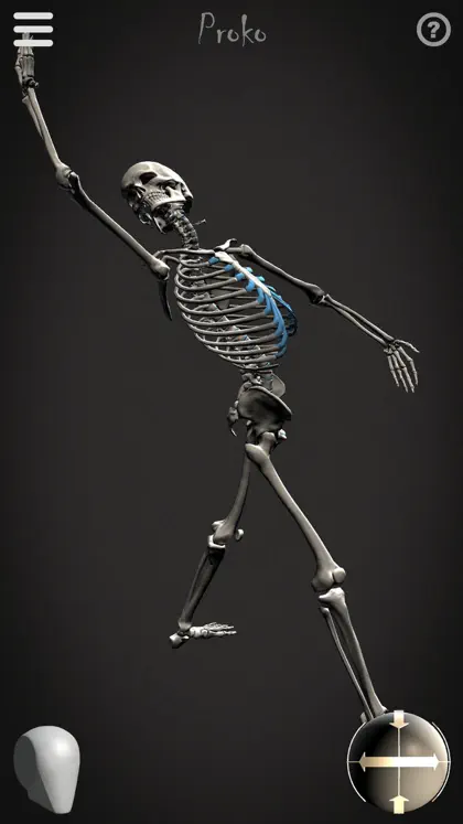 Screenshot 3 di 5 di Skelly - Art Model