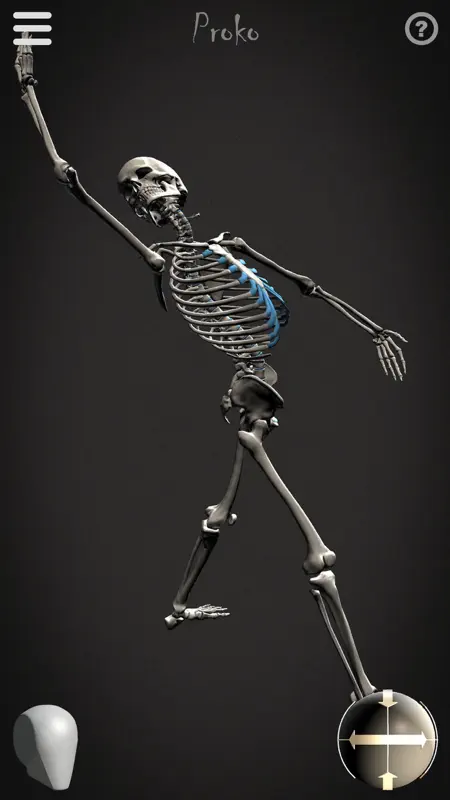 Skelly - Art Model screenshot 3 of 5