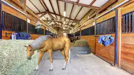 Game screenshot Locked Horse Farm Escape hack