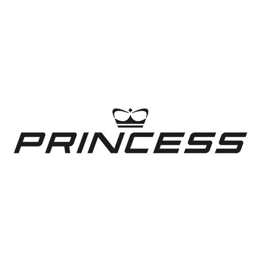 Princess Motor Yachts