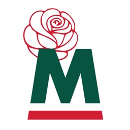 Meilland | Rozen Selectie