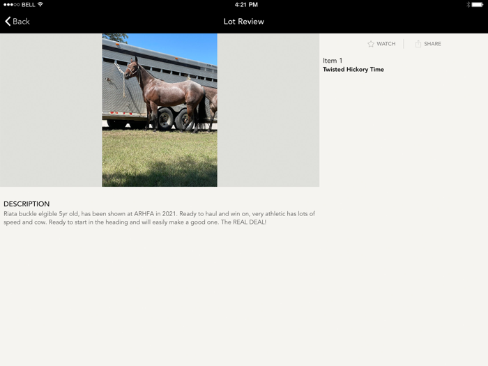 Equine Exchange Auctions