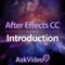What do you get when you fuse a talented artist/educator with Adobe After Effects CC