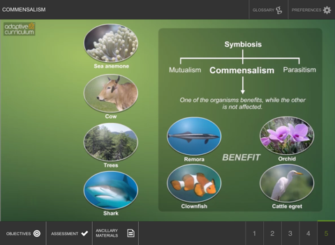 Commensalism screenshot 4