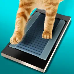 Running Track for Cat app icon