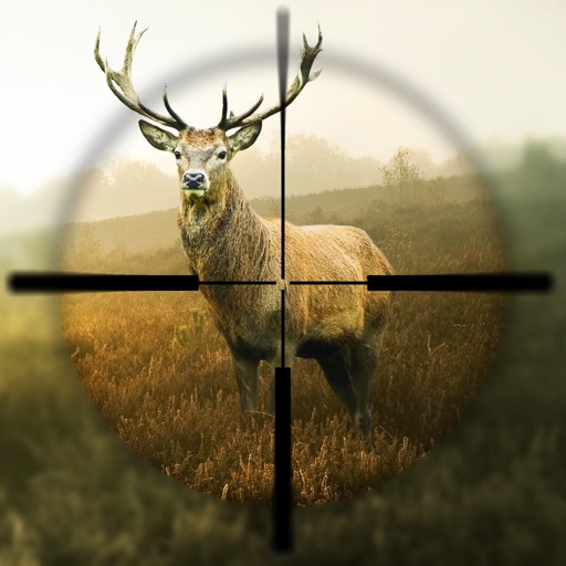 Hunting Simulator Icon