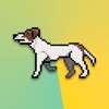 Walky: pedometer with a dog icon