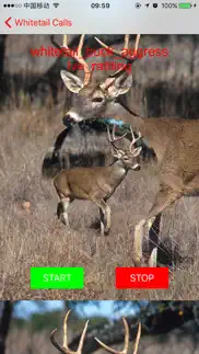 whitetail hunting calls - real deer sounds iphone screenshot 4