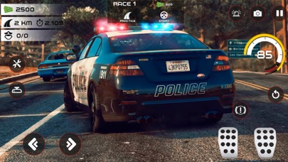 Highway Police Chase Simulator Screenshot