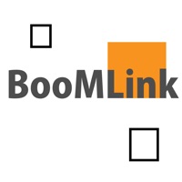 BooMLink(ブーエムリンク)