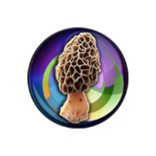 My Mushroom Log icon