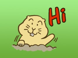 ●●● Big SALE 50% OFF for a LIMITED TIME: Buy once, FOREVER fun