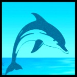 Download Meditation - Dolphins Whales app