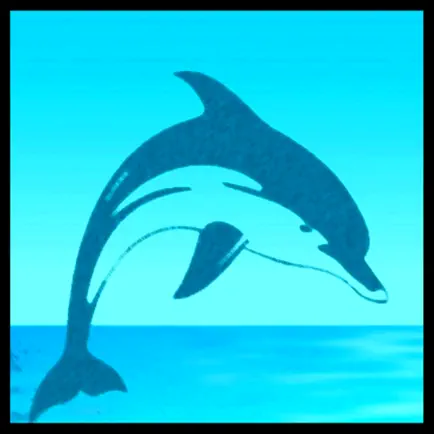 Meditation - Dolphins Whales Cheats