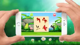 Game screenshot Birds of World Drag Drop and Match Shadow for kids apk