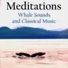 Similar Meditations - Whales and Music Apps